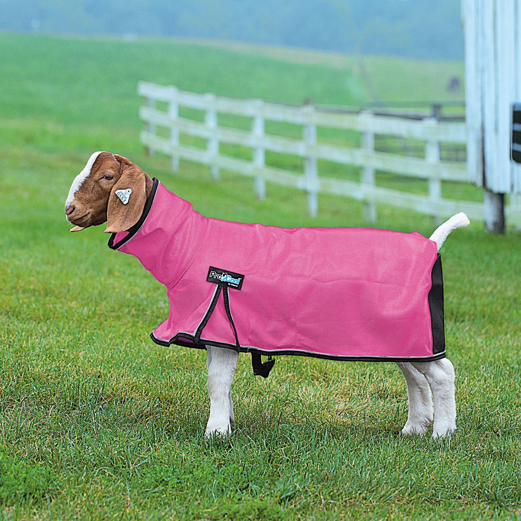 ProCool™ Goat Blanket with Reflective Piping, Mesh Butt - Image 10