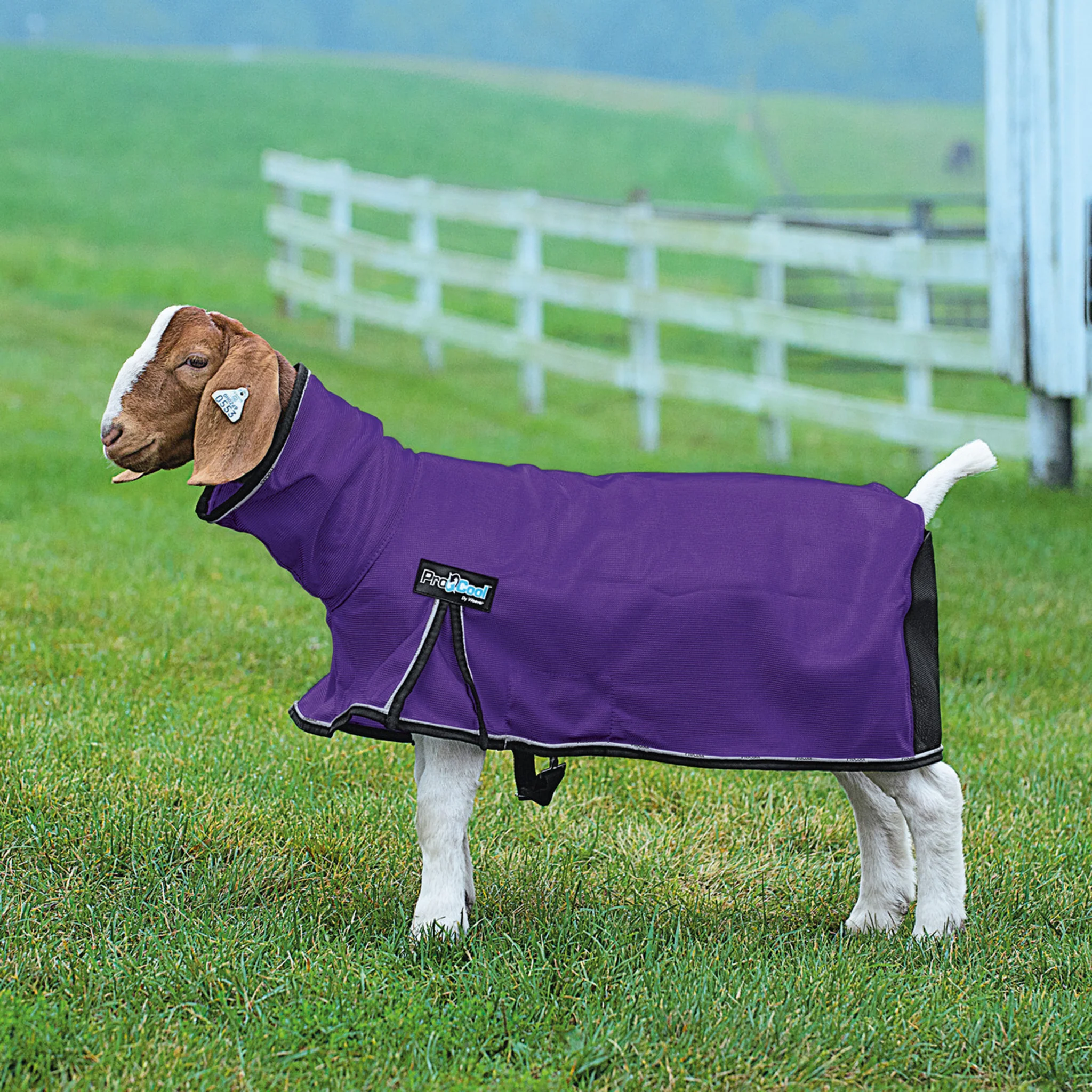 ProCool™ Goat Blanket with Reflective Piping, Mesh Butt - Image 6