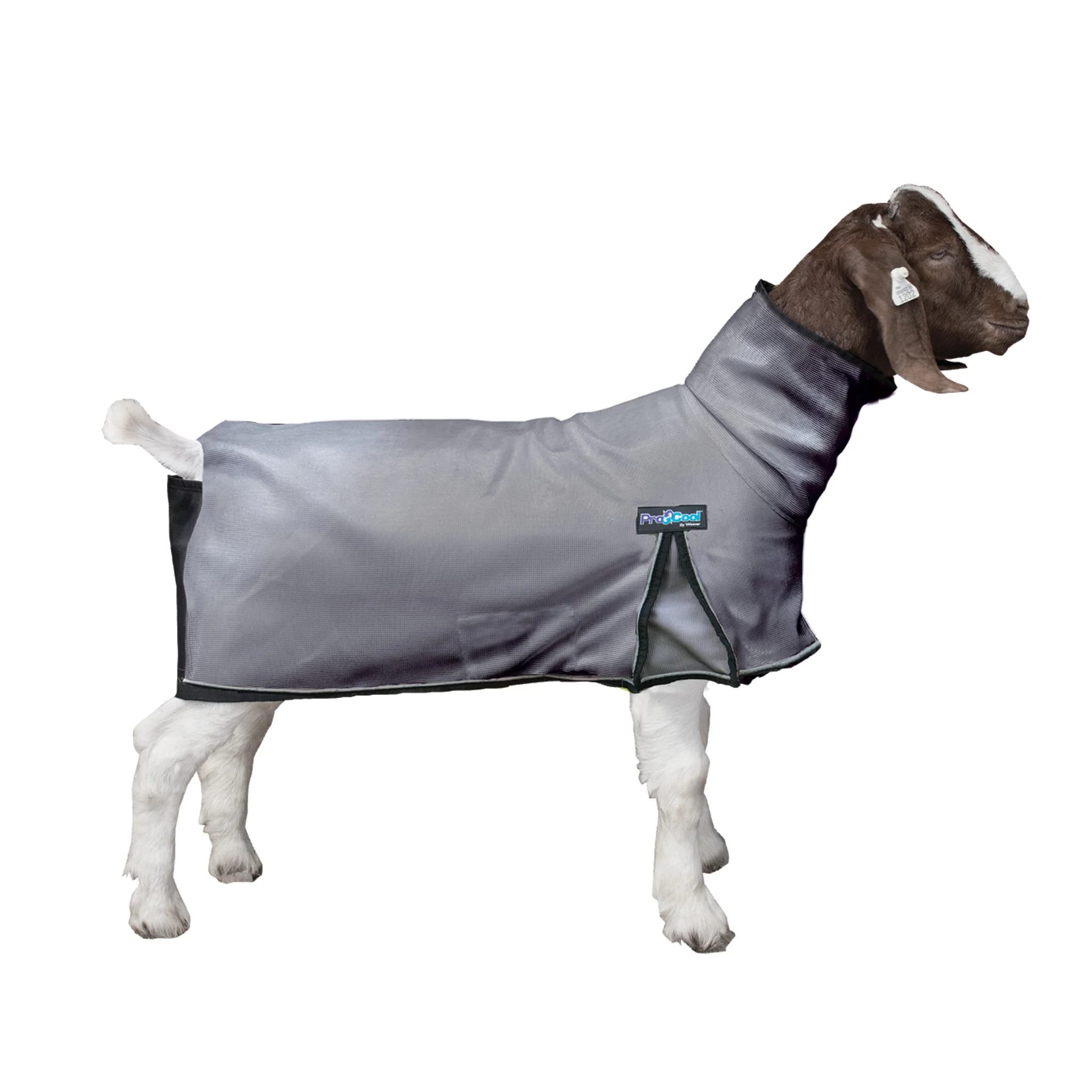 ProCool™ Goat Blanket with Reflective Piping, Mesh Butt - Image 7