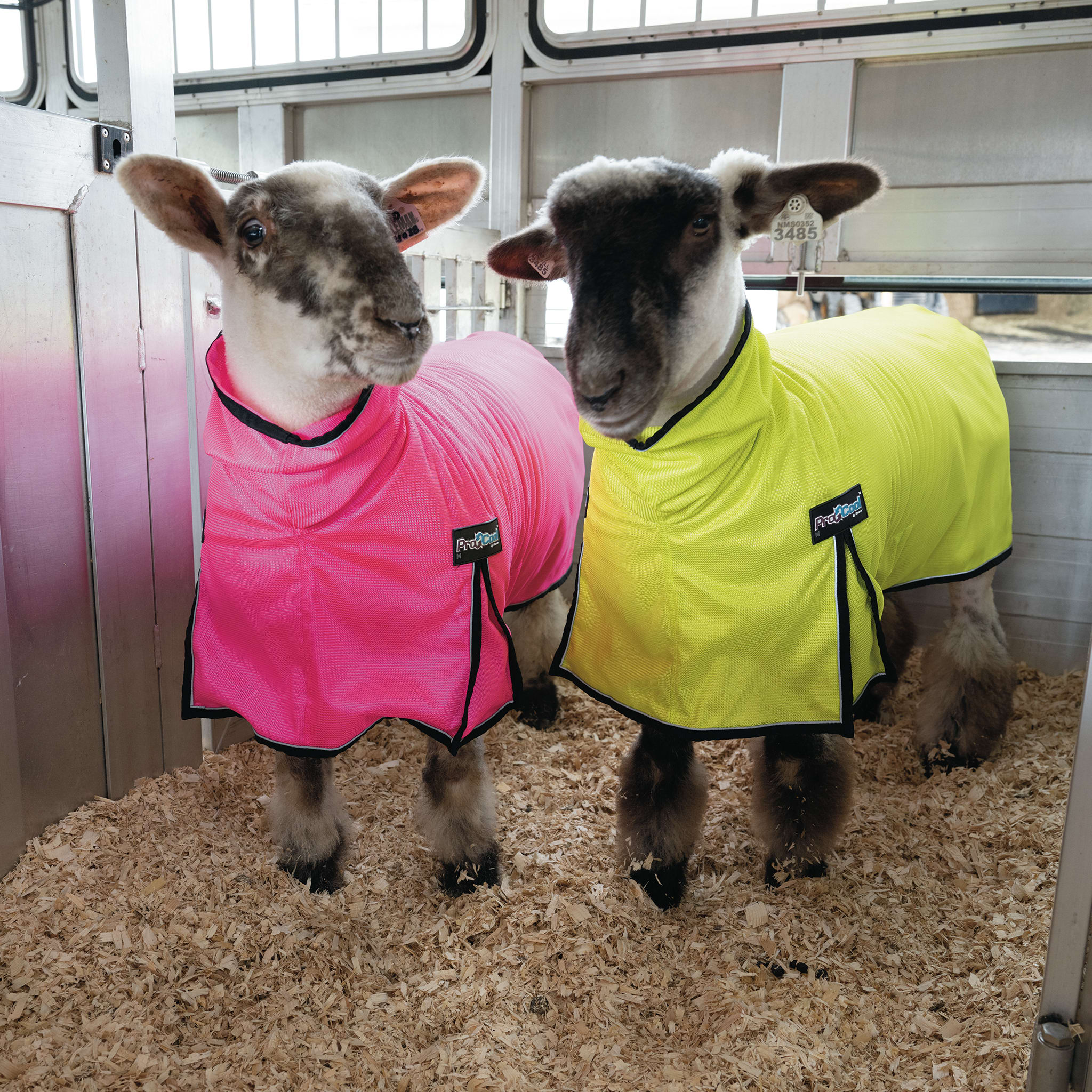 ProCool™ Sheep Blanket with Reflective Piping, Mesh Butt - Image 10