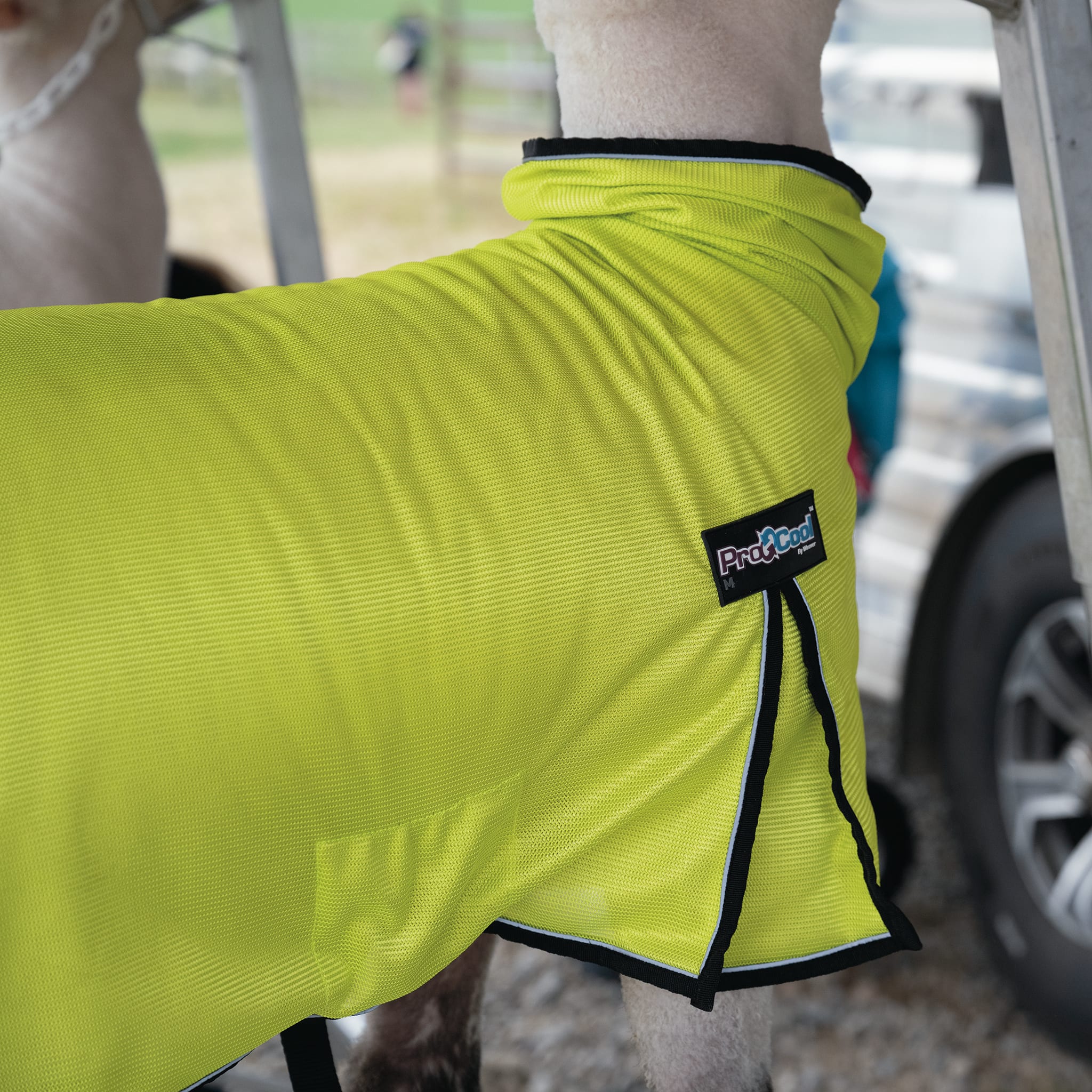ProCool™ Sheep Blanket with Reflective Piping, Mesh Butt - Image 11