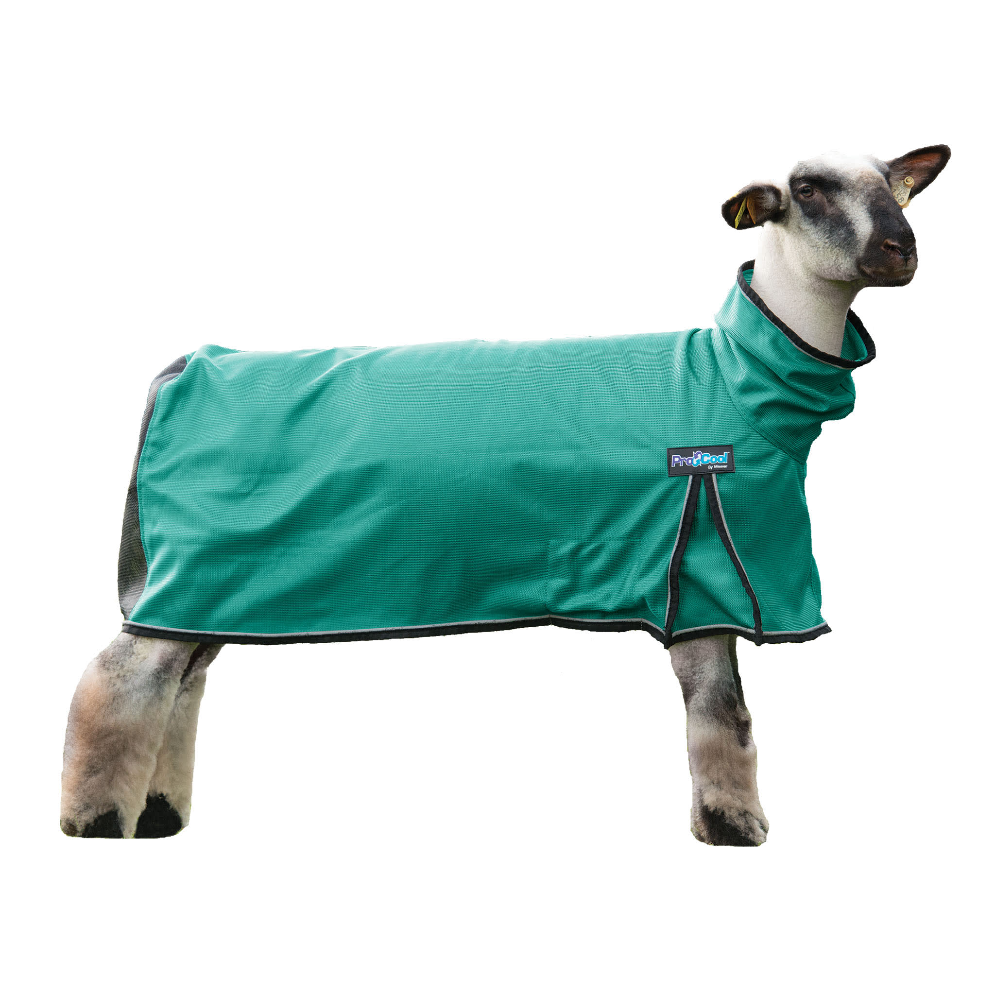 ProCool™ Sheep Blanket with Reflective Piping, Mesh Butt - Image 32