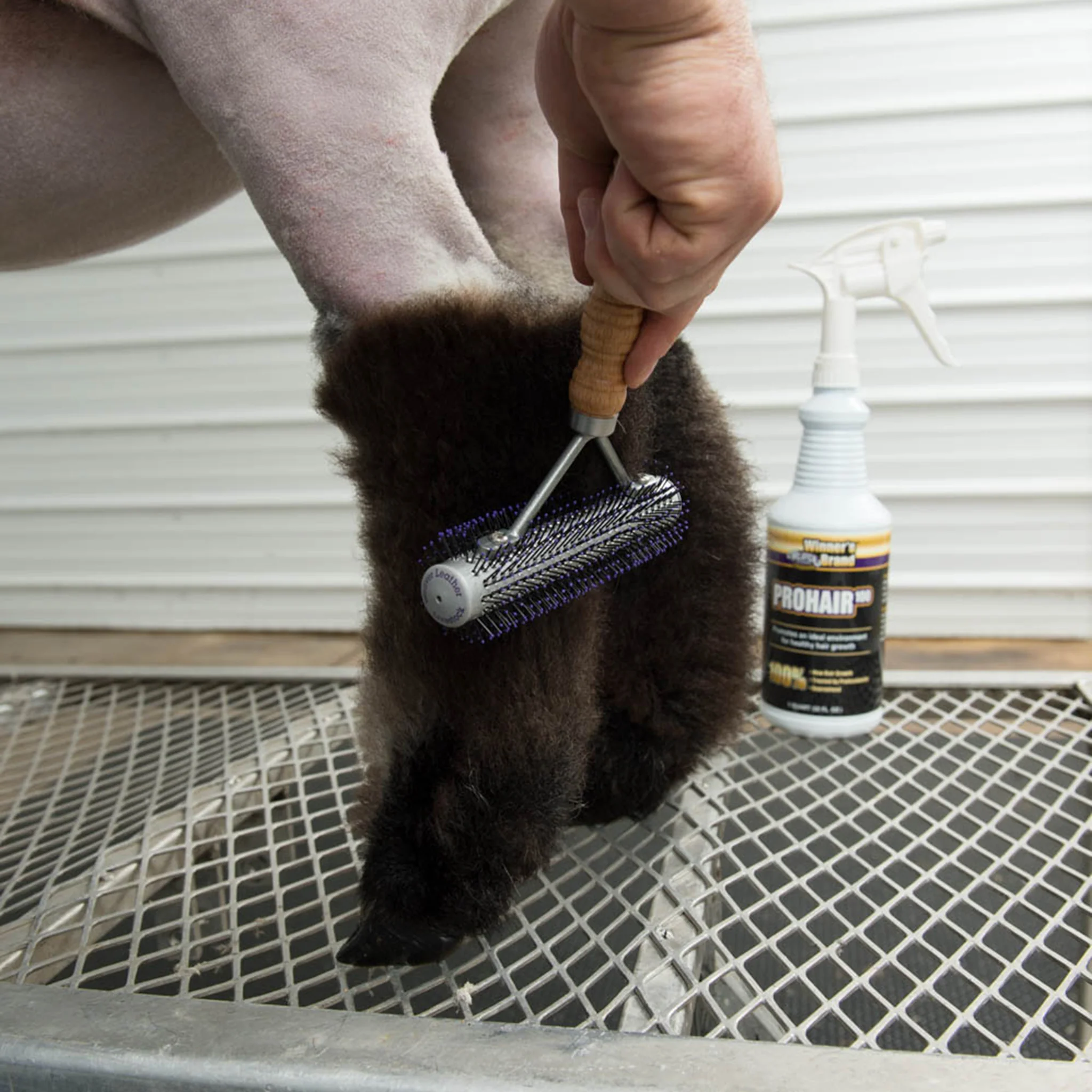 ProHair100 - Image 5