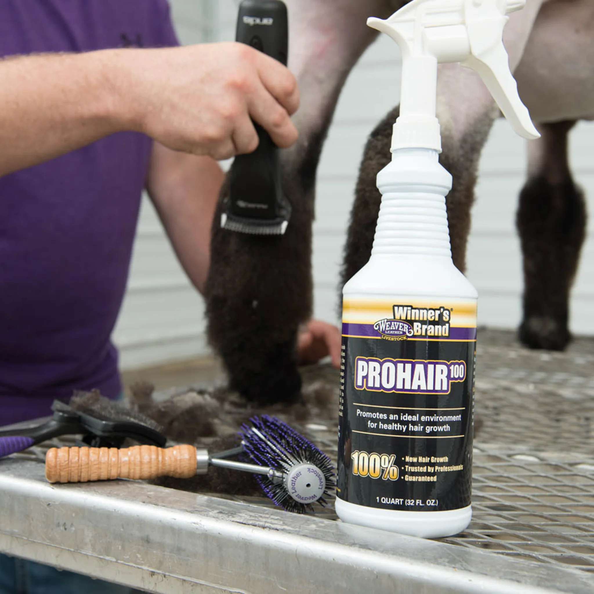 ProHair100 - Image 6