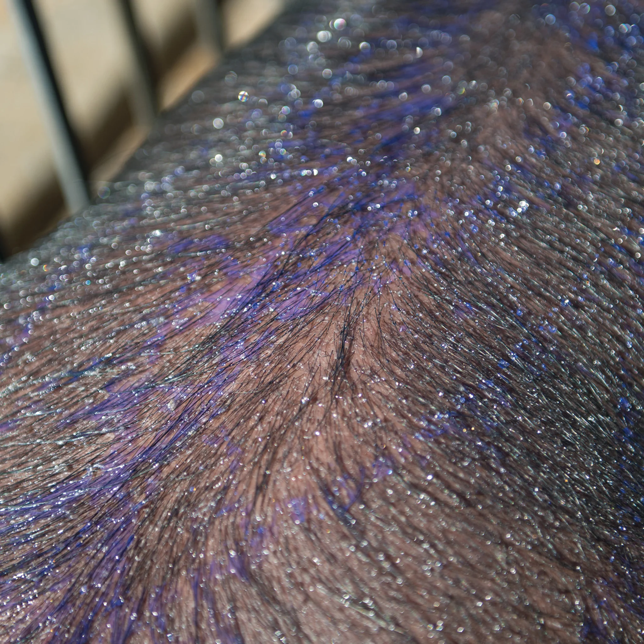 Purifying Shampoo - Image 3
