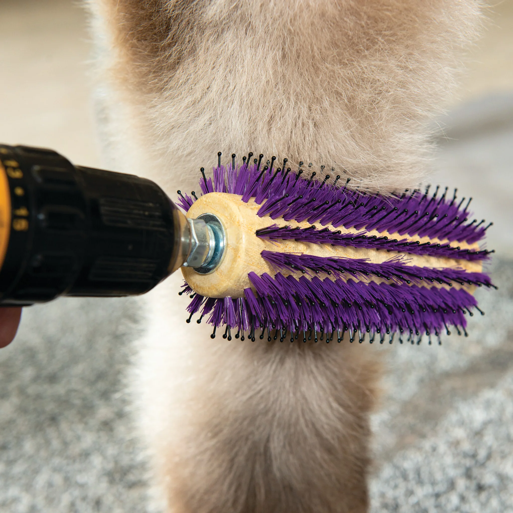 Regular Roto Brush - Image 7