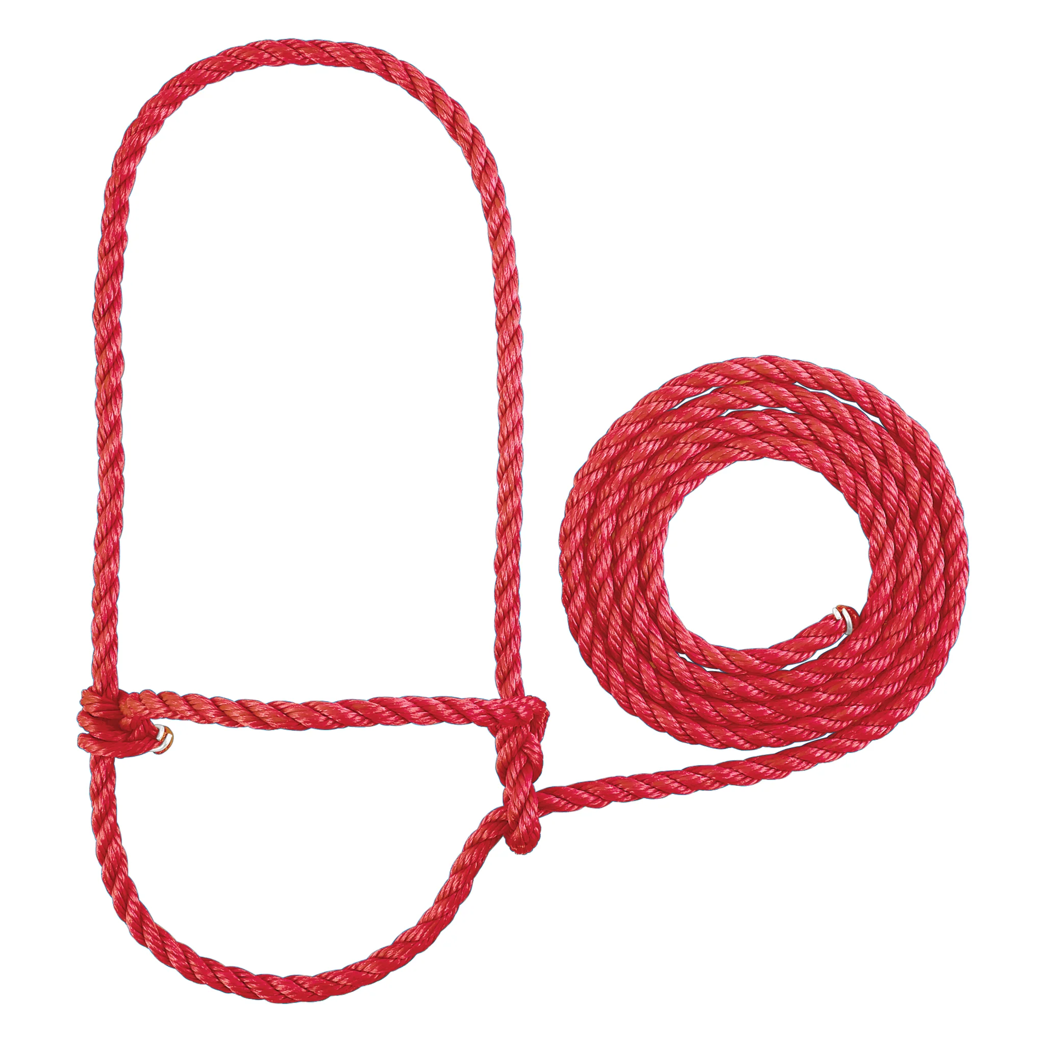 Rope Halter, Calf - Image 4