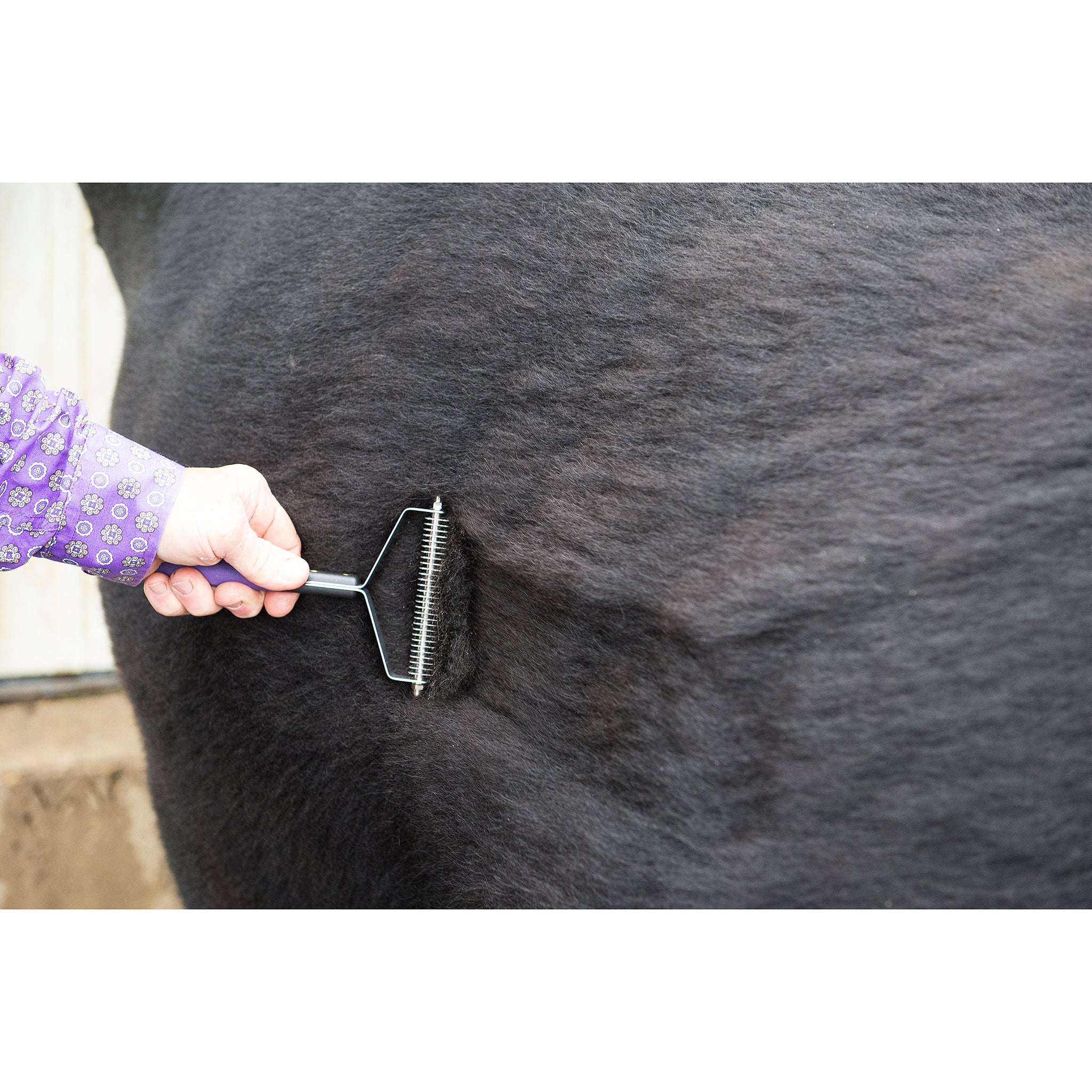 Shedding Comb - Image 2