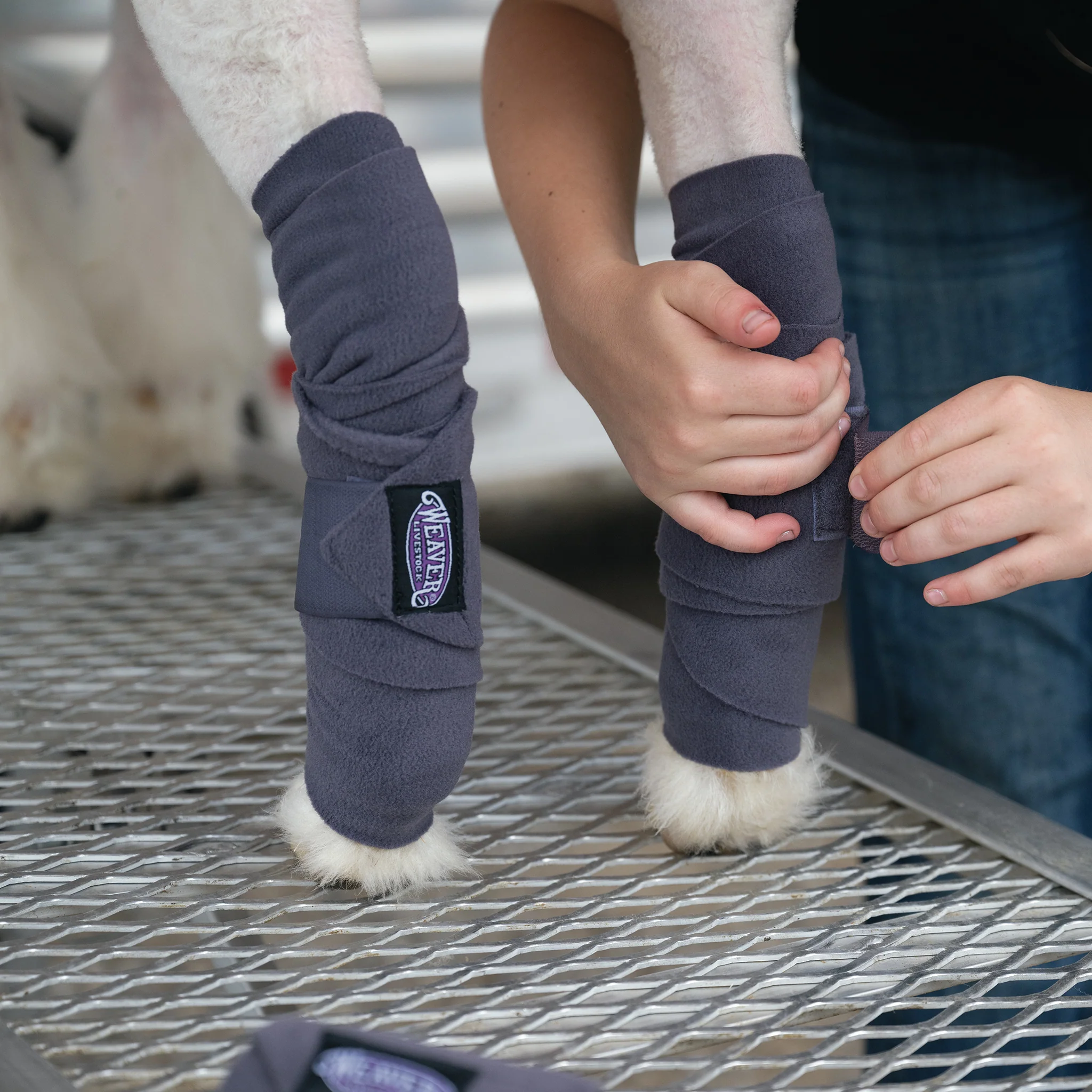 Sheep & Goat Fleece Leg Wraps, 4" x 56" - Image 4
