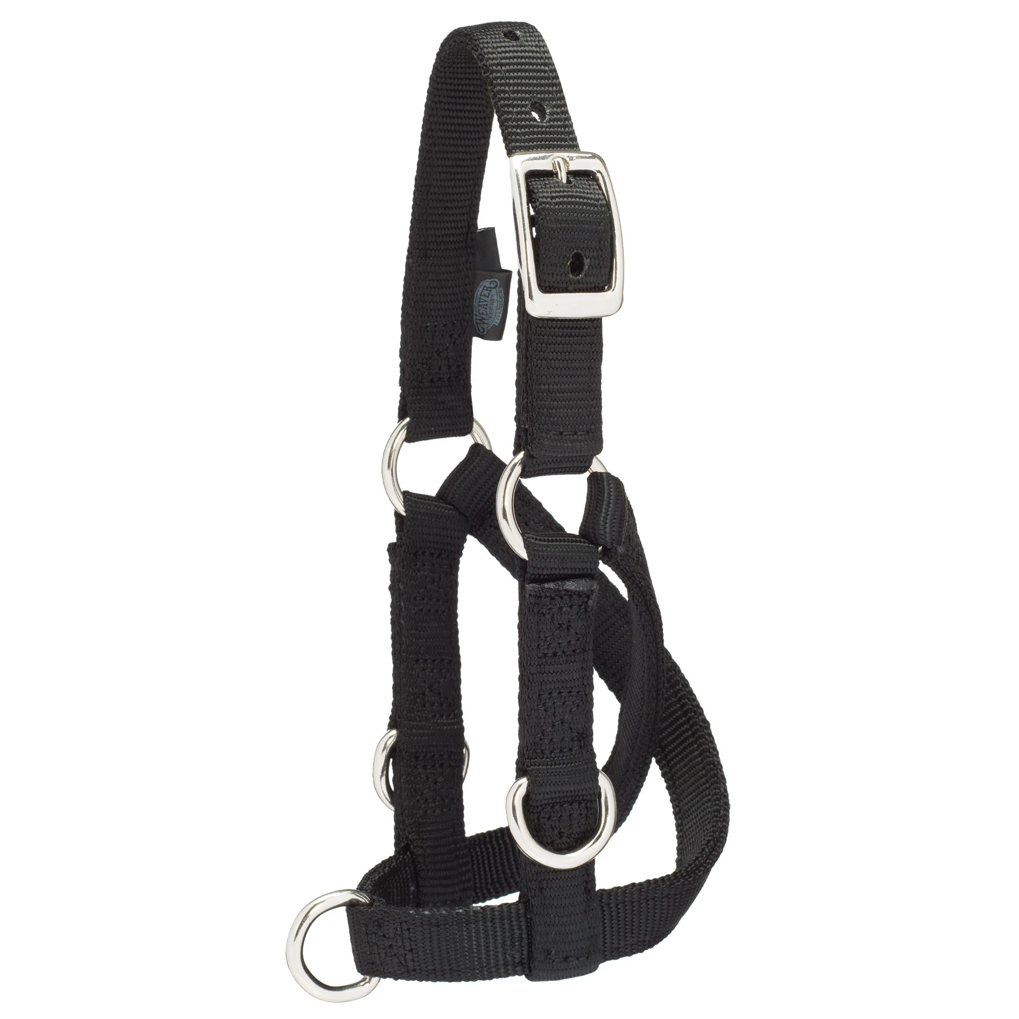 Sheep & Goat Training Halter