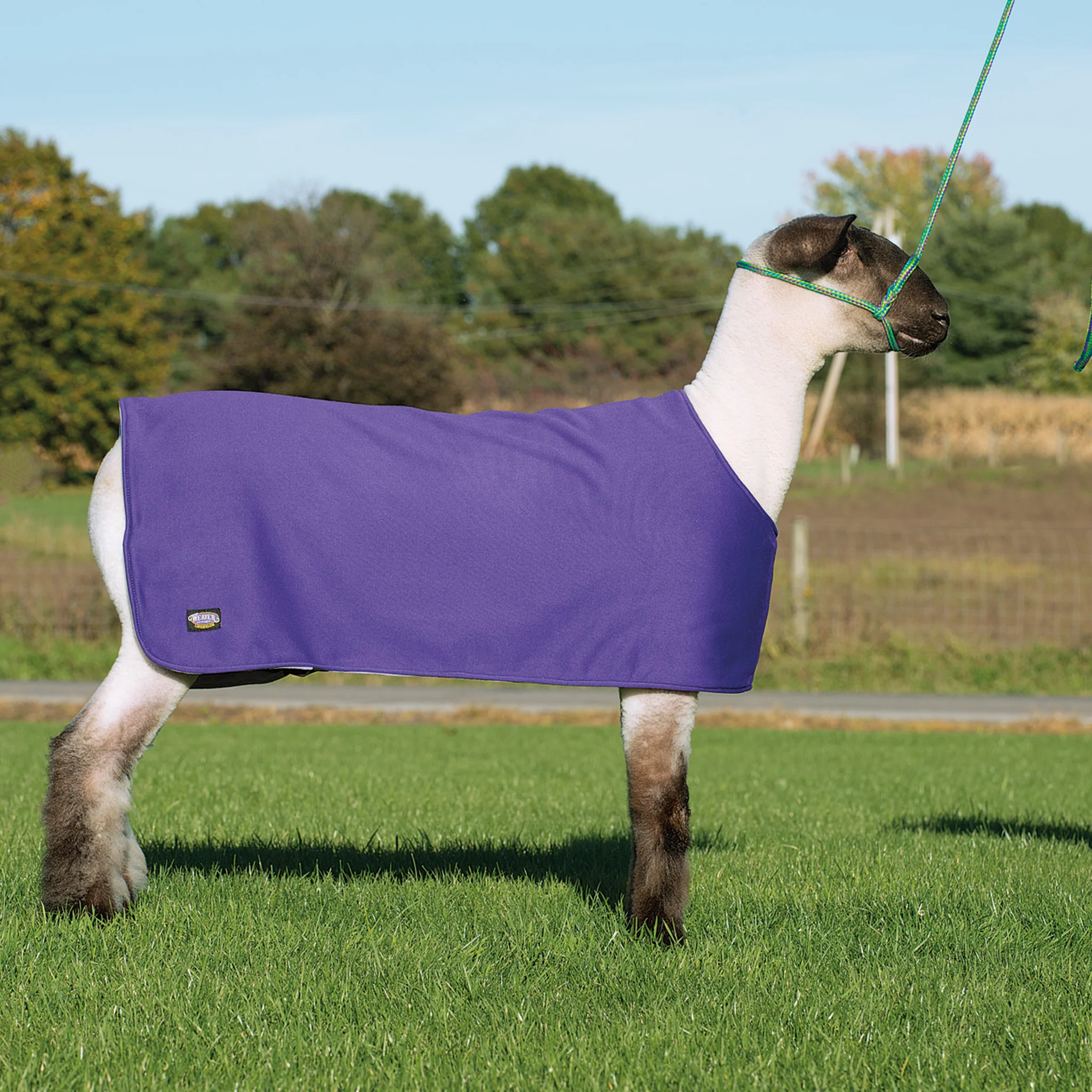 Sheep and Goat Underblanket - Image 3