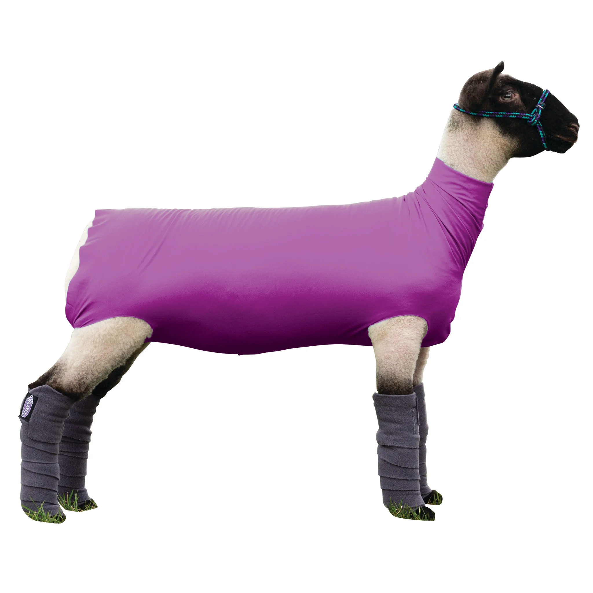 Spandex Sheep Tube - Image 2