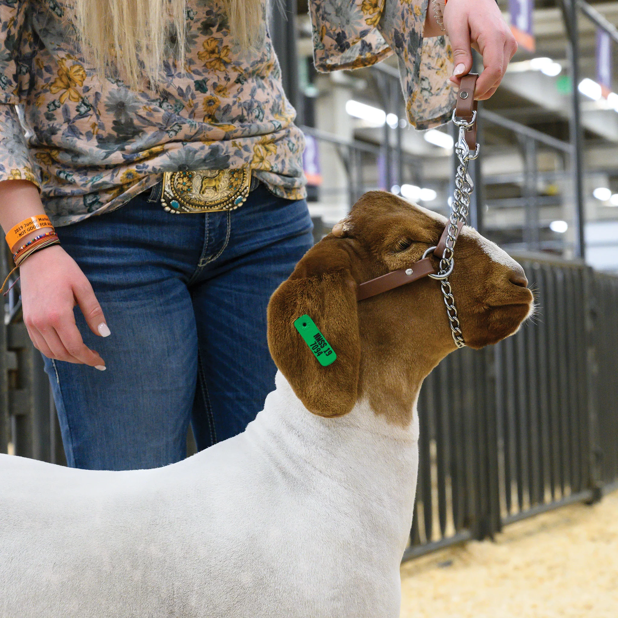Total Control Goat Halter - Image 2