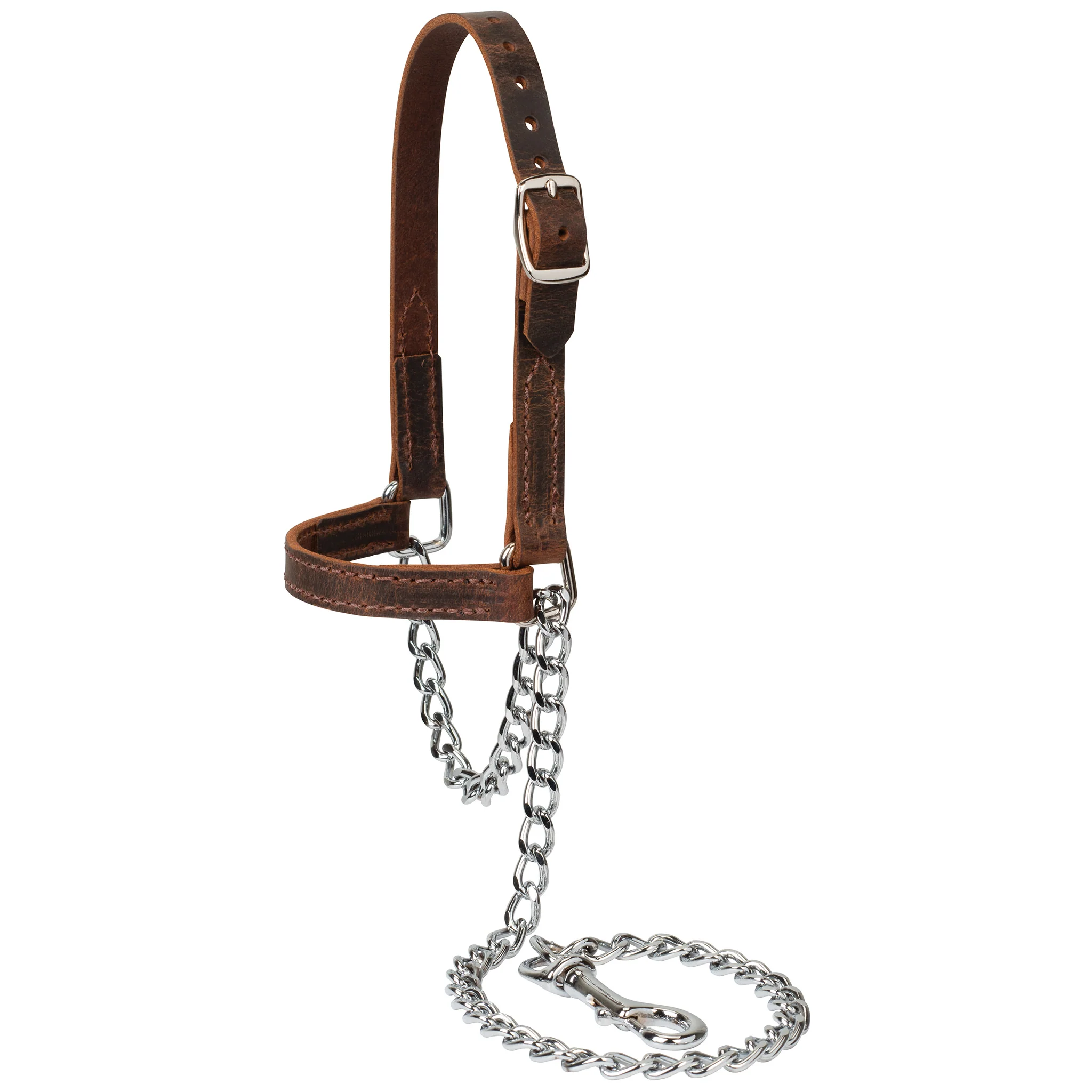 Water Buffalo Leather Goat Halter, Large